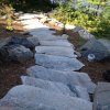 McKay Landscape