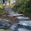 McKay Landscape